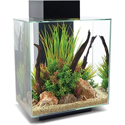 Fluval Edge 2.0 Aquarium Noir 46 l - Publicité Fluval Edge 2.0 Aquarium Noir 46 l - Publicité