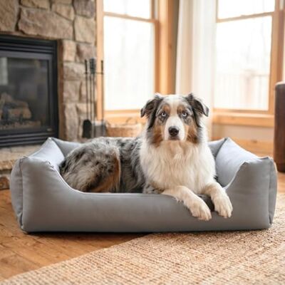 4L Textil Mario Lit Orthopédique pour Chien Mémoire de Forme – Panier Chien Simili Cuir Imperméable, Résistant aux Rayures, Facile à Nettoyer – Gris – 140x110 cm - Publicité 4L Textil Mario Lit Orthopédique pour Chien Mémoire de Forme – Panier Chien Simili Cuir Imperméable, Résistant aux Rayures, Facile à Nettoyer – Gris – 140x110 cm - Publicité