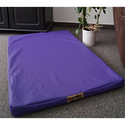 Hundebettenmanufaktur Matelas pour chien / tapis de panier pour chien Housse en similicuir et mousse de 5 cm Disponible en différentes couleurs et tailles - Publicité Hundebettenmanufaktur Matelas pour chien / tapis de panier pour chien Housse en similicuir et mousse de 5 cm Disponible en différentes couleurs et tailles - Publicité