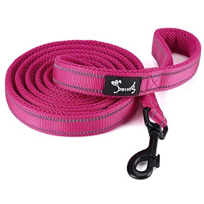 PETTOM Laisse pour Chien, Laisse Dressage Chien Grand Moyen Petit, Poignée Rembourrée, Réfléchissant(Fuchsia, 2m) - Publicité PETTOM Laisse pour Chien, Laisse Dressage Chien Grand Moyen Petit, Poignée Rembourrée, Réfléchissant(Fuchsia, 2m) - Publicité