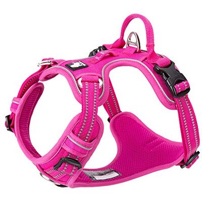 Truelove - Front Line Premium - Rose - L - Harnais pour chien - Publicité Truelove - Front Line Premium - Rose - L - Harnais pour chien - Publicité