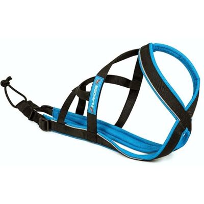 Inlandsis Polar Evo - Harnais pour chiens - XL - Bleu/Noir - Publicité Inlandsis Polar Evo - Harnais pour chiens - XL - Bleu/Noir - Publicité
