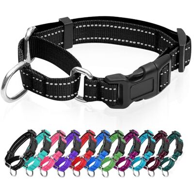 GDLKPS Collier martingale réfléchissant pour chien avec boucle à dégagement rapide Collier réglable rembourré en nylon respirant Convient aux chiots pour chiens de petite, moyenne et grande taille - Publicité GDLKPS Collier martingale réfléchissant pour chien avec boucle à dégagement rapide Collier réglable rembourré en nylon respirant Convient aux chiots pour chiens de petite, moyenne et grande taille - Publicité