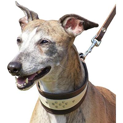 Dingo Waldemar Rutkowski Dingo 12403 Collier en Cuir Souple pour Chiens Whippet et Gun - Publicité Dingo Waldemar Rutkowski Dingo 12403 Collier en Cuir Souple pour Chiens Whippet et Gun - Publicité