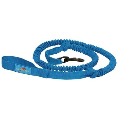 Inlandsis Bikejor - Laisse pour chien Bleue 2,5 m - Publicité Inlandsis Bikejor - Laisse pour chien Bleue 2,5 m - Publicité