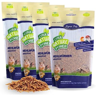 Lyra Pet ® 4 x 1 kg vers de Farine séchés, Aliment de qualité Premium Aliment riche en protéines – source d’énergie pour insectivores – vitamines & minéraux – oiseaux sauvages, rongeurs &reptiles - Publicité Lyra Pet ® 4 x 1 kg vers de Farine séchés, Aliment de qualité Premium Aliment riche en protéines – source d’énergie pour insectivores – vitamines & minéraux – oiseaux sauvages, rongeurs &reptiles - Publicité