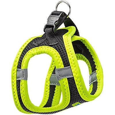 FERPLAST Kaori Harnais pour petits chiens - Harnais pour chiens - Publicité FERPLAST Kaori Harnais pour petits chiens - Harnais pour chiens - Publicité