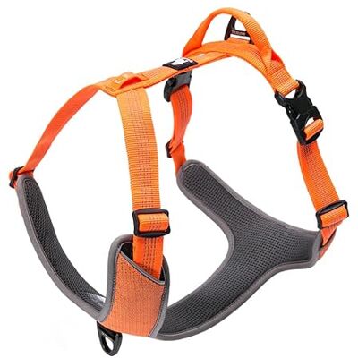 Harnais pour chien orange Lumen Truelove - Publicité Harnais pour chien orange Lumen Truelove - Publicité