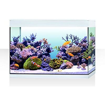 Askoll AA350077 Pure XL HC Marine Blanc - Publicité Askoll AA350077 Pure XL HC Marine Blanc - Publicité