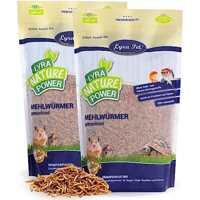 Lyra Pet ® 2 x 1 kg vers de Farine séchés, Aliment de qualité Premium Aliment riche en protéines – source d’énergie pour insectivores – vitamines & minéraux – oiseaux sauvages, rongeurs &reptiles - Publicité Lyra Pet ® 2 x 1 kg vers de Farine séchés, Aliment de qualité Premium Aliment riche en protéines – source d’énergie pour insectivores – vitamines & minéraux – oiseaux sauvages, rongeurs &reptiles - Publicité