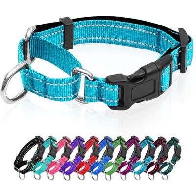 GDLKPS Collier martingale réfléchissant pour chien avec boucle à dégagement rapide Collier réglable rembourré en nylon respirant Convient aux chiots pour chiens de petite, moyenne et grande taille - Publicité GDLKPS Collier martingale réfléchissant pour chien avec boucle à dégagement rapide Collier réglable rembourré en nylon respirant Convient aux chiots pour chiens de petite, moyenne et grande taille - Publicité