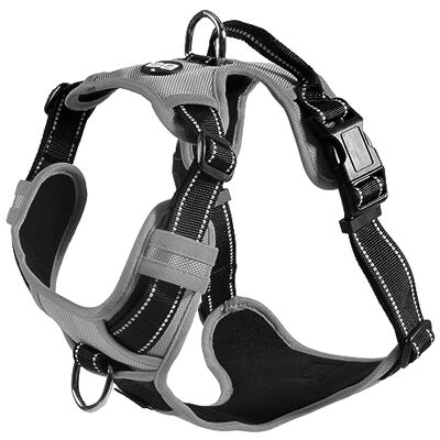 Bobby Rando Walk Harnais pour Chien, en Nylon Moyen Petit Grand, Sûr, Confortable, Réfléchissant, Ajustable, Gris, M/40-63x2 CM - Publicité Bobby Rando Walk Harnais pour Chien, en Nylon Moyen Petit Grand, Sûr, Confortable, Réfléchissant, Ajustable, Gris, M/40-63x2 CM - Publicité