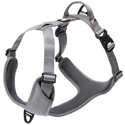 Truelove - Lumen - Gris - M - Harnais - Publicité Truelove - Lumen - Gris - M - Harnais - Publicité