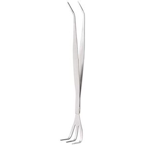Annadue Pince à épiler à Racine de Bonsaï en Acier Inoxydable 2-en-1, Outils de Jardin à Griffes de 9,84 Pouces, pour Accessoires de Bonsaï - Publicité Annadue Pince à épiler à Racine de Bonsaï en Acier Inoxydable 2-en-1, Outils de Jardin à Griffes de 9,84 Pouces, pour Accessoires de Bonsaï - Publicité