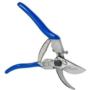 PATERLINI Ciseaux de Sécateur de Jardin Ciseaux d’élagage tranchants Cisailles de jardinage faciles à élaguer Outils de jardinage professionnels Ciseaux d’élagage (Master) - Publicité PATERLINI Ciseaux de Sécateur de Jardin Ciseaux d’élagage tranchants Cisailles de jardinage faciles à élaguer Outils de jardinage professionnels Ciseaux d’élagage (Master) - Publicité