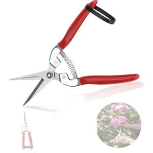 Akozon Ciseaux de jardin, Bonsaïs d'arbres fruitiers Jardinage Élagage Cisailles Sécateur Outil de printemps pour jardin(Tout droit) sécateur pour couper fleurs sécateur pour couper fleurs+épinette - Publicité Akozon Ciseaux de jardin, Bonsaïs d'arbres fruitiers Jardinage Élagage Cisailles Sécateur Outil de printemps pour jardin(Tout droit) sécateur pour couper fleurs sécateur pour couper fleurs+épinette - Publicité
