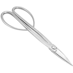 QWORK ® Ciseaux à bonsaï en Acier Inoxydable 21 cm, Outil de Taille pour bourgeons, Feuilles et Petites Branches tendres - Publicité QWORK ® Ciseaux à bonsaï en Acier Inoxydable 21 cm, Outil de Taille pour bourgeons, Feuilles et Petites Branches tendres - Publicité