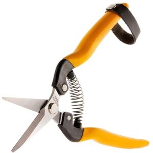 ALPEN Rigi 300 Ciseaux de Récolte et de Taille – Lames Inox Longues 56 mm – Poignées Métal avec Soft Grip – Léger, Ambidextre – Outil Précision pour Fruits, Légumes et Fleurs - Publicité ALPEN Rigi 300 Ciseaux de Récolte et de Taille – Lames Inox Longues 56 mm – Poignées Métal avec Soft Grip – Léger, Ambidextre – Outil Précision pour Fruits, Légumes et Fleurs - Publicité