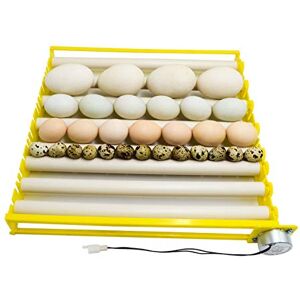 YALIKESI 7 Tubes plateau de tournage d'oeufs avec moteur 12V / 220V éclosoir pour poulets, canards, oiseaux - Publicité YALIKESI 7 Tubes plateau de tournage d'oeufs avec moteur 12V / 220V éclosoir pour poulets, canards, oiseaux - Publicité