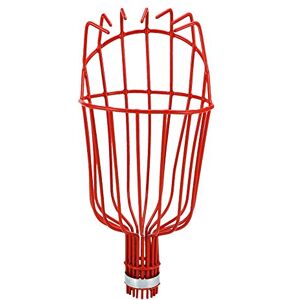 Shipenophy Cueille-fruits, outil en acier avec fil incurvé et fixation sécurisée pour la récolte, ramassage de fruits sans échelle pour jardin, verger ou ferme - Publicité Shipenophy Cueille-fruits, outil en acier avec fil incurvé et fixation sécurisée pour la récolte, ramassage de fruits sans échelle pour jardin, verger ou ferme - Publicité