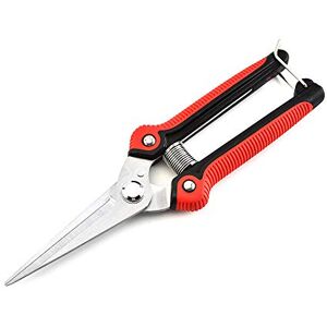 Fisher09 Ciseaux de jardin multifonctionnels en acier inoxydable pour couper les fleurs et les arbres fruitiers - Publicité Fisher09 Ciseaux de jardin multifonctionnels en acier inoxydable pour couper les fleurs et les arbres fruitiers - Publicité