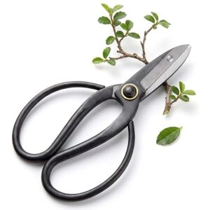 HappySeed Ciseaux à bonsaï en Acier Tranchant Outil Traditionnel pour la Culture Professionnelle des bonsaïs idéal pour Les bourgeons, Les Feuilles et Les Branches - Publicité HappySeed Ciseaux à bonsaï en Acier Tranchant Outil Traditionnel pour la Culture Professionnelle des bonsaïs idéal pour Les bourgeons, Les Feuilles et Les Branches - Publicité