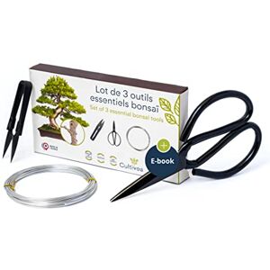 Cultivea ® Lot de 3 Outils Essentiels Bonsai – Outil en Acier Jardinez Cisailles à bonsaï pour Entretien de Vos bonsais et Plantes Ciseaux Ronds Taillage et élagage Bonsai Fil Aluminium - Publicité Cultivea ® Lot de 3 Outils Essentiels Bonsai – Outil en Acier Jardinez Cisailles à bonsaï pour Entretien de Vos bonsais et Plantes Ciseaux Ronds Taillage et élagage Bonsai Fil Aluminium - Publicité