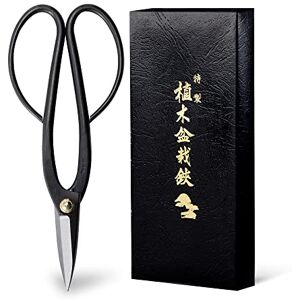 Wazakura Ciseaux Japonais Ashinaga pour Bonsaï Jardinage et Arrangement Floral Sécateur en Acier Carbon Noir 200mm Fabriqué au Japon - Publicité Wazakura Ciseaux Japonais Ashinaga pour Bonsaï Jardinage et Arrangement Floral Sécateur en Acier Carbon Noir 200mm Fabriqué au Japon - Publicité
