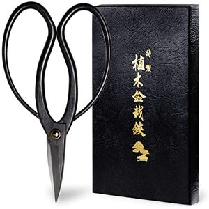 Wazakura Ciseaux Japonais Traditionnels pour Bonsaï et Jardinage 180mm Outil Sécateur de Précision Artisanale pour Élagage Fabriqué au Japon Couleur Noir - Publicité Wazakura Ciseaux Japonais Traditionnels pour Bonsaï et Jardinage 180mm Outil Sécateur de Précision Artisanale pour Élagage Fabriqué au Japon Couleur Noir - Publicité