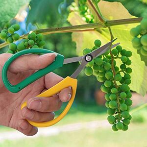 Jeffergarden Ciseaux de Greffage Ciseaux de jardin en acier inoxydable Ciseaux à fleurs Ciseaux à élagage Sécateur à main Jardinage Bonsai schère ensemble - Publicité Jeffergarden Ciseaux de Greffage Ciseaux de jardin en acier inoxydable Ciseaux à fleurs Ciseaux à élagage Sécateur à main Jardinage Bonsai schère ensemble - Publicité