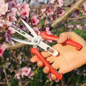 DOUFAN Ciseaux à éclaircir les fruits et les fleurs à double port, sécateur de jardin Ciseaux avec poignée confortable, parfait pour tailler les plantes, herbes hydroponiques, cueillir des fleurs - Publicité DOUFAN Ciseaux à éclaircir les fruits et les fleurs à double port, sécateur de jardin Ciseaux avec poignée confortable, parfait pour tailler les plantes, herbes hydroponiques, cueillir des fleurs - Publicité