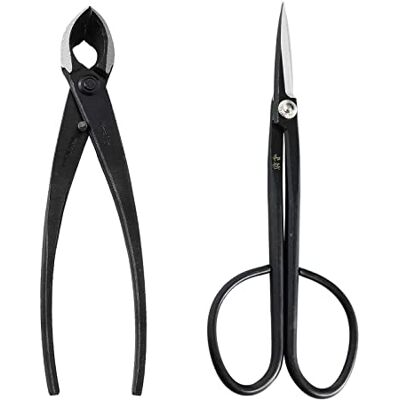 Wazakura Ensemble 2 Outils Essentiels pour Bonsaï et Jardinage Fabriqués au Japon, Ciseaux Twig en Acier Japonais Yasugi Japonais 210mm et Coupe Branche Pince Concave 200mm - Publicité Wazakura Ensemble 2 Outils Essentiels pour Bonsaï et Jardinage Fabriqués au Japon, Ciseaux Twig en Acier Japonais Yasugi Japonais 210mm et Coupe Branche Pince Concave 200mm - Publicité