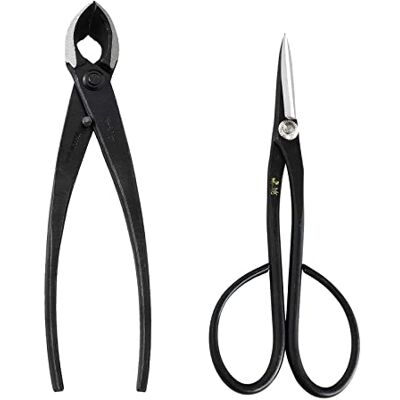 Wazakura Set 2 Outils Japonais Essentiels pour Bonsaï et Jardinage en Acier Carbon et Fabriqués au Japon, Ciseaux Satsuki 180mm et Coupe Branche Concave 200mm - Publicité Wazakura Set 2 Outils Japonais Essentiels pour Bonsaï et Jardinage en Acier Carbon et Fabriqués au Japon, Ciseaux Satsuki 180mm et Coupe Branche Concave 200mm - Publicité