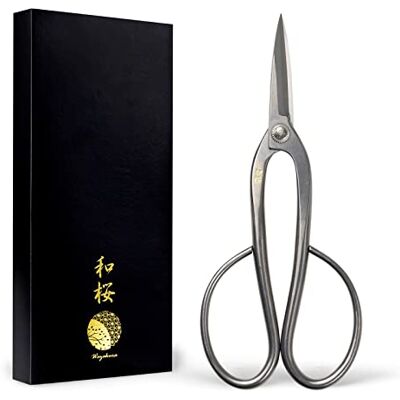 Wazakura Ciseaux à Bonsaï Ashinaga en Acier Yasugi Inoxydable 200mm Fabriqué au Japon, Sécateur d'Élagage et Outil de Jardinage Artisanale Japonais - Publicité Wazakura Ciseaux à Bonsaï Ashinaga en Acier Yasugi Inoxydable 200mm Fabriqué au Japon, Sécateur d'Élagage et Outil de Jardinage Artisanale Japonais - Publicité