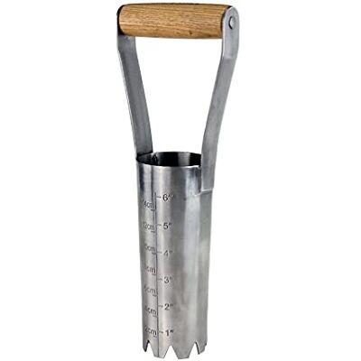 Kent & Stowe - Acier inoxydable Grand - Bulb - Planter - Publicité Kent & Stowe - Acier inoxydable Grand - Bulb - Planter - Publicité