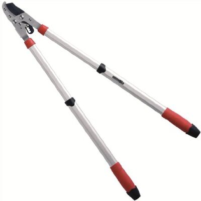AUSONIA EBRANCHEUR TÉLESCOPIQUE CISAILLE COUPE-BRANCHES SECATEUR TELESCOPIC LOPPERS À CLIQUET AVEC COUPE À ENCLUME ET MANCHES TUBULAIRES EN ALUMINIUM EXTENSIBLES DE 68 À 100 CM - Publicité AUSONIA EBRANCHEUR TÉLESCOPIQUE CISAILLE COUPE-BRANCHES SECATEUR TELESCOPIC LOPPERS À CLIQUET AVEC COUPE À ENCLUME ET MANCHES TUBULAIRES EN ALUMINIUM EXTENSIBLES DE 68 À 100 CM - Publicité