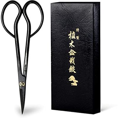 Wazakura Ciseaux Japonais pour Taille Bonsaï Satsuki 180mm Sécateur de Jardinage et Arrangements Floraux Fabriqué au Japon Noir Satsuki, Acier - Publicité Wazakura Ciseaux Japonais pour Taille Bonsaï Satsuki 180mm Sécateur de Jardinage et Arrangements Floraux Fabriqué au Japon Noir Satsuki, Acier - Publicité