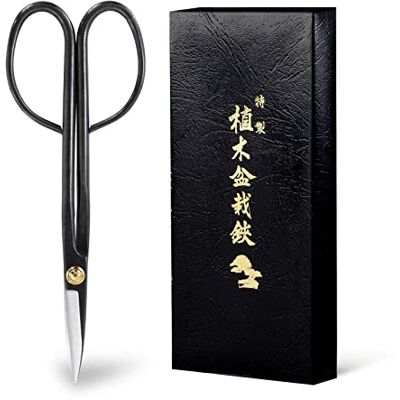 Wazakura - Ciseaux Bonsai Twig - 210mm - Ciseaux de taille - Publicité Wazakura - Ciseaux Bonsai Twig - 210mm - Ciseaux de taille - Publicité