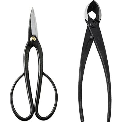 Wazakura Kit Outils Essentiels pour Bonsaï et Jardinage Japonais Fabriqué au Japon, Ciseaux à Bonsaï Ashinaga 200mm avec Coupe Branches Concave 200mm, Débutants et Confirmés - Publicité Wazakura Kit Outils Essentiels pour Bonsaï et Jardinage Japonais Fabriqué au Japon, Ciseaux à Bonsaï Ashinaga 200mm avec Coupe Branches Concave 200mm, Débutants et Confirmés - Publicité