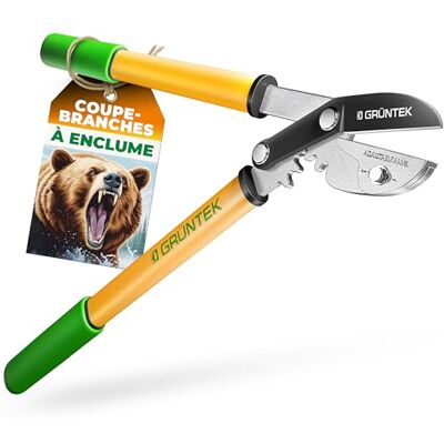GRÜNTEK Cisaille Coupe Branches Ébrancheur de 47 cm avec Sécateur à crémaillère. Élaguer à Enclume Compact Grizzly en Aluminium - Publicité GRÜNTEK Cisaille Coupe Branches Ébrancheur de 47 cm avec Sécateur à crémaillère. Élaguer à Enclume Compact Grizzly en Aluminium - Publicité
