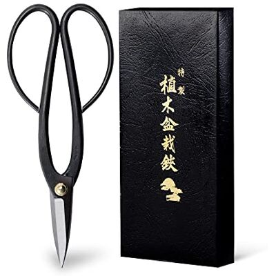 Wazakura Ciseaux Japonais Ashinaga pour Bonsaï Jardinage et Arrangement Floral Sécateur en Acier Carbon Noir 200mm Fabriqué au Japon - Publicité Wazakura Ciseaux Japonais Ashinaga pour Bonsaï Jardinage et Arrangement Floral Sécateur en Acier Carbon Noir 200mm Fabriqué au Japon - Publicité