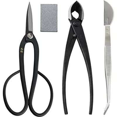 Wazakura Kit 4 Outils, Set Essentiels Entretien Bonsaï Fabriqué au Japon, Ciseaux Ashinaga en Acier Yasugi Japonais 200mm, Coupe Branche, Pince Multifonction en Acier Inoxydable, et Gomme Nettoyante - Publicité Wazakura Kit 4 Outils, Set Essentiels Entretien Bonsaï Fabriqué au Japon, Ciseaux Ashinaga en Acier Yasugi Japonais 200mm, Coupe Branche, Pince Multifonction en Acier Inoxydable, et Gomme Nettoyante - Publicité