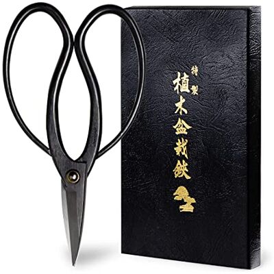 Wazakura Ciseaux Japonais Traditionnels pour Bonsaï et Jardinage 180mm Outil Sécateur de Précision Artisanale pour Élagage et Fabriqué au Japon Couleur Noir, Qualité professionnelle - Publicité Wazakura Ciseaux Japonais Traditionnels pour Bonsaï et Jardinage 180mm Outil Sécateur de Précision Artisanale pour Élagage et Fabriqué au Japon Couleur Noir, Qualité professionnelle - Publicité