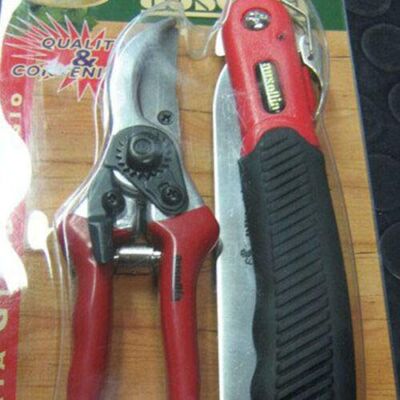 AUSONIA 34441 ESEMBLE D'OUTILS DE SÉCATEUR DE JARDINAGE SET LOT DE 2 OUTILS DE JARDIN SCIE A ELAGUER LAME 18 CM ET SECATEUR CM 21 - Publicité AUSONIA 34441 ESEMBLE D'OUTILS DE SÉCATEUR DE JARDINAGE SET LOT DE 2 OUTILS DE JARDIN SCIE A ELAGUER LAME 18 CM ET SECATEUR CM 21 - Publicité