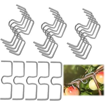 Seutmrou 20 Pièces Épandeur de Branches d’Arbre Fruitier, 13cm Support pour Branches de Fruits en Forme de M pour Arbre Fruitier, Arbres Fruitiers pour écarter et étirer - Publicité Seutmrou 20 Pièces Épandeur de Branches d’Arbre Fruitier, 13cm Support pour Branches de Fruits en Forme de M pour Arbre Fruitier, Arbres Fruitiers pour écarter et étirer - Publicité