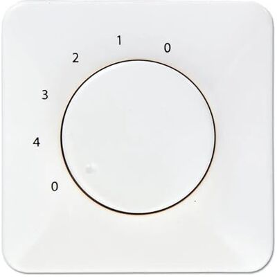 Pepeo Interrupteur mural pour ventilateurs de plafond sans éclairage, compatible avec les ventilateurs de toutes marques, encastré - Publicité Pepeo Interrupteur mural pour ventilateurs de plafond sans éclairage, compatible avec les ventilateurs de toutes marques, encastré - Publicité