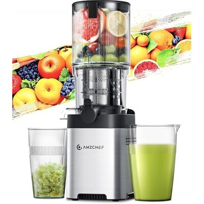 AMZCHEF Extracteur Jus 2 Tarières Mains Libres Ouverture 126mm Grand Capacité, Gris - Publicité AMZCHEF Extracteur Jus 2 Tarières Mains Libres Ouverture 126mm Grand Capacité, Gris - Publicité