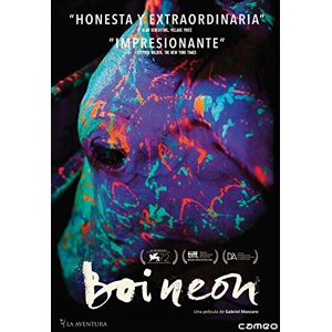 Boi neon - Publicité Boi neon - Publicité