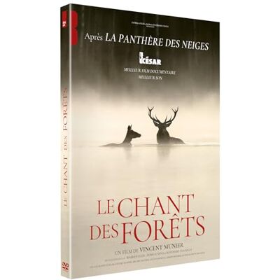 Le chant des forêts dvd - Publicité Le chant des forêts dvd - Publicité