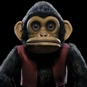 Ost The Monkey - Publicité Ost The Monkey - Publicité